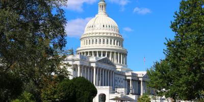 Capitol and trees