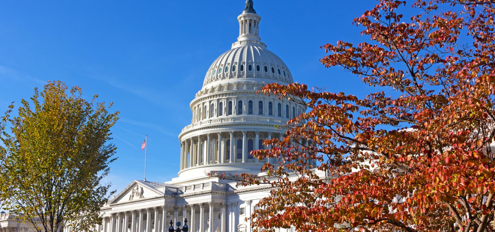 United States Capitol in autumn